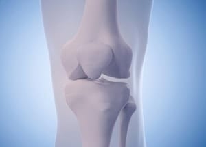 膝関節と軟骨